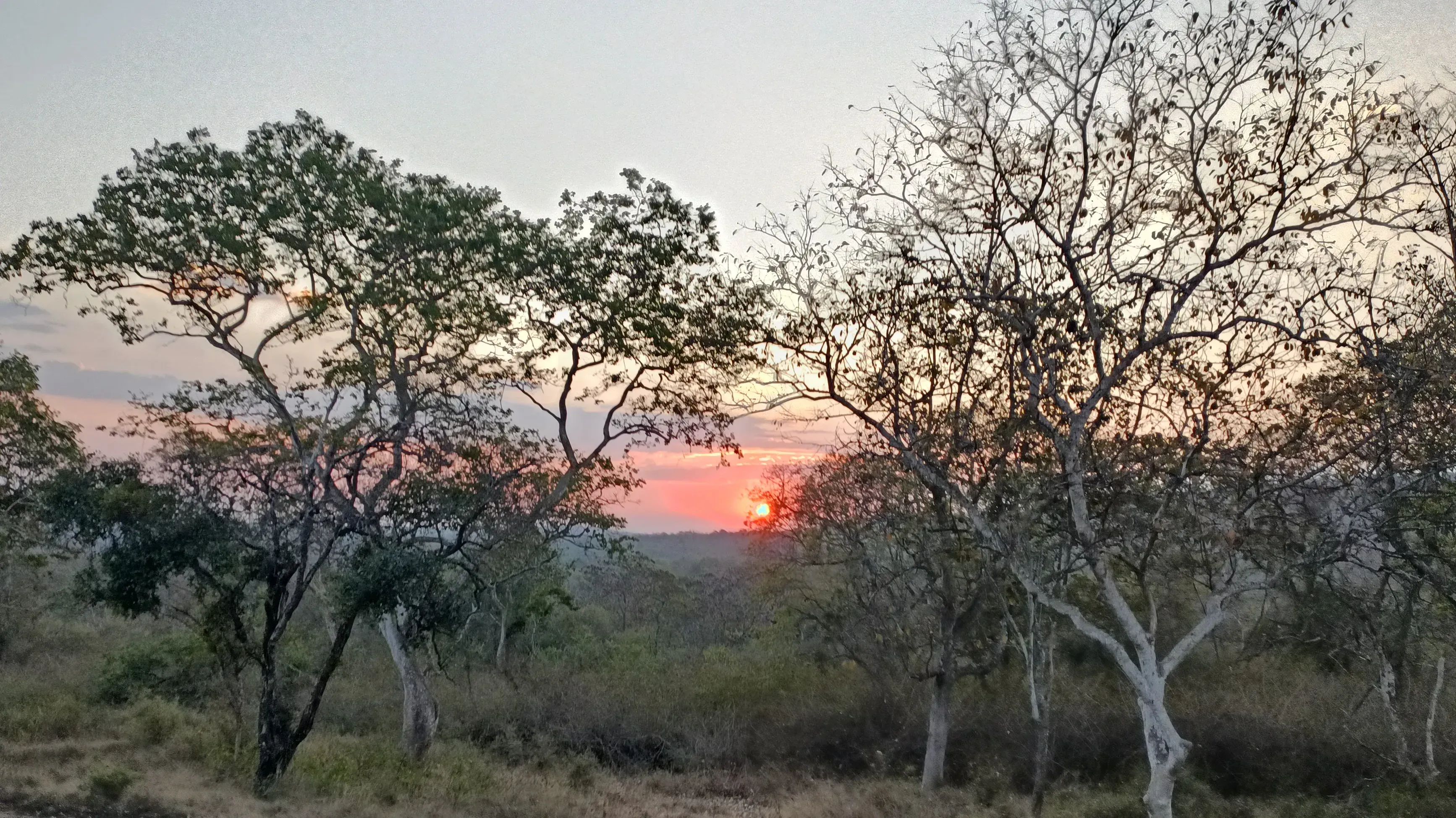 Sunrise at Tadoba